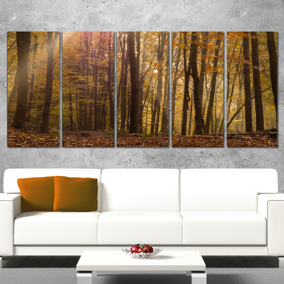 Dense Forest in Rays of Rising Sun, Forest Canvas Art Print, 60"x28", 5 Panels