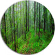 Green Wild Forest With Dense Trees, Forest Disc Metal Wall Art, 23"