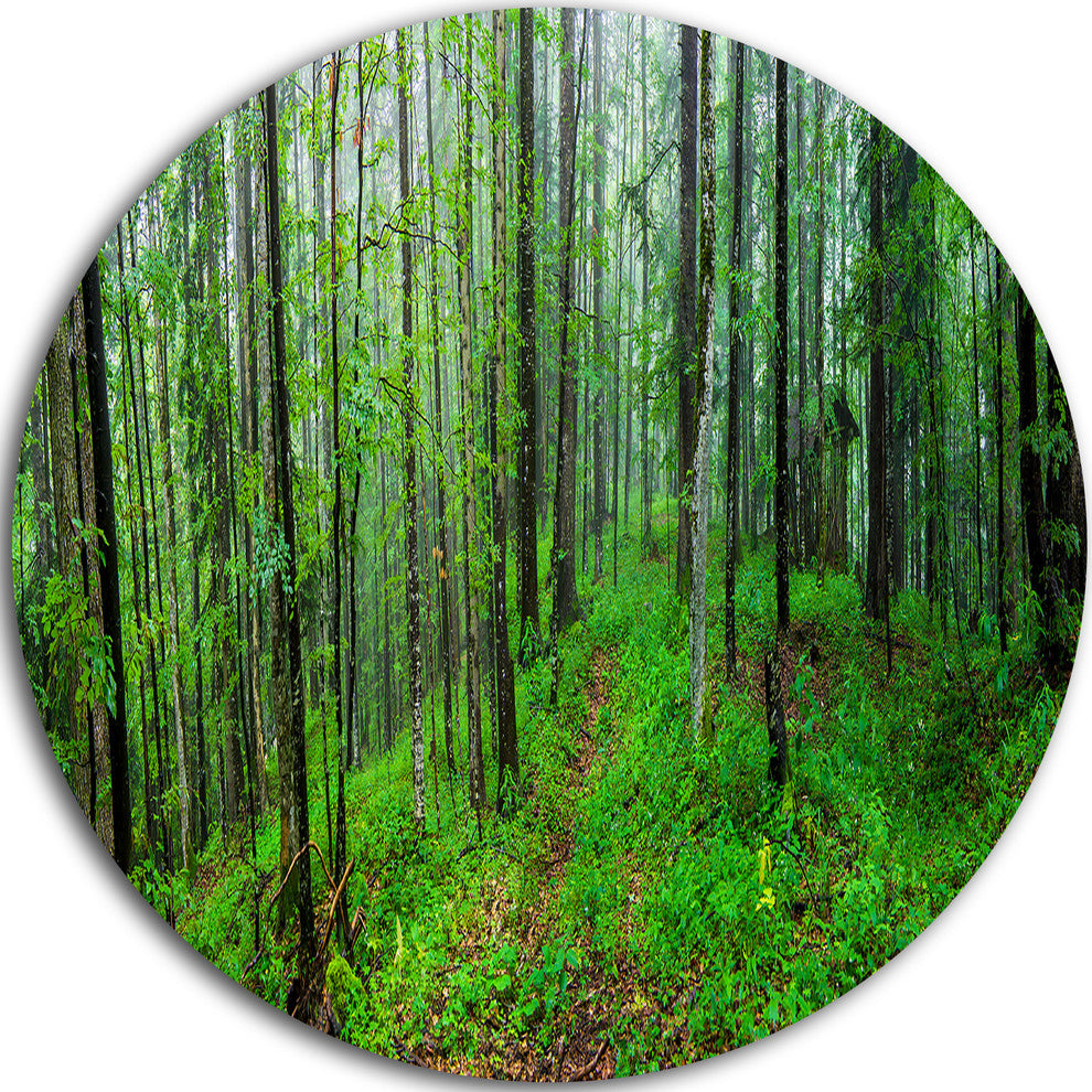 Green Wild Forest With Dense Trees, Forest Disc Metal Wall Art, 23"
