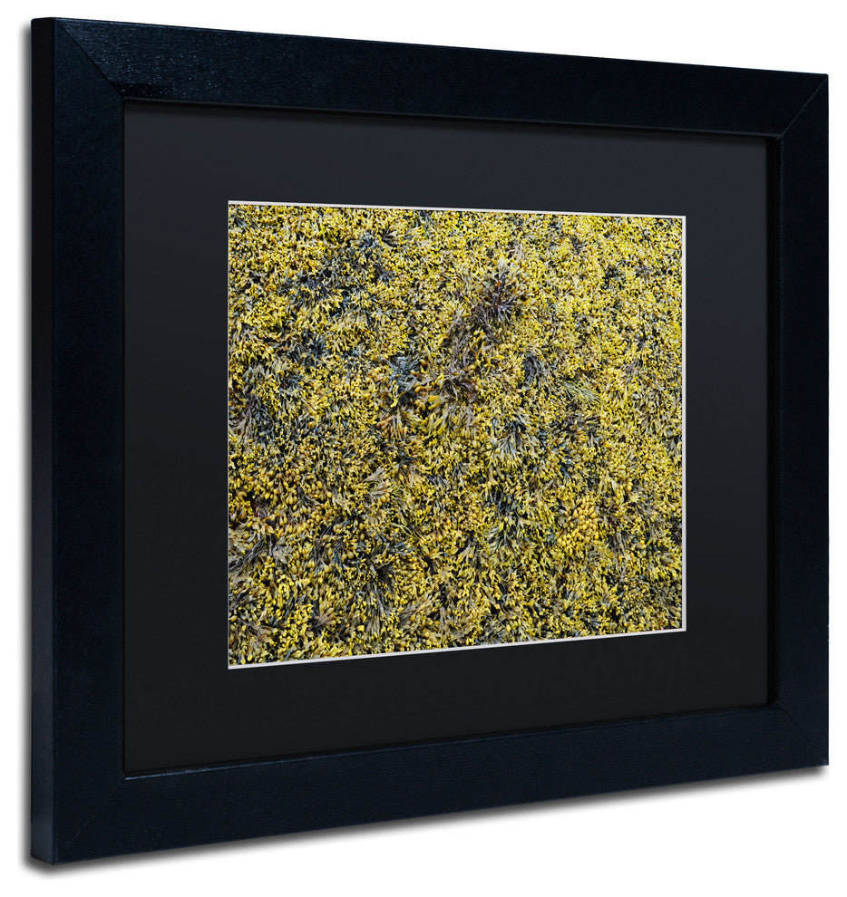 Nicole Dietz 'Seaweed' Matted Framed Art, Black Frame, Black, 14x11