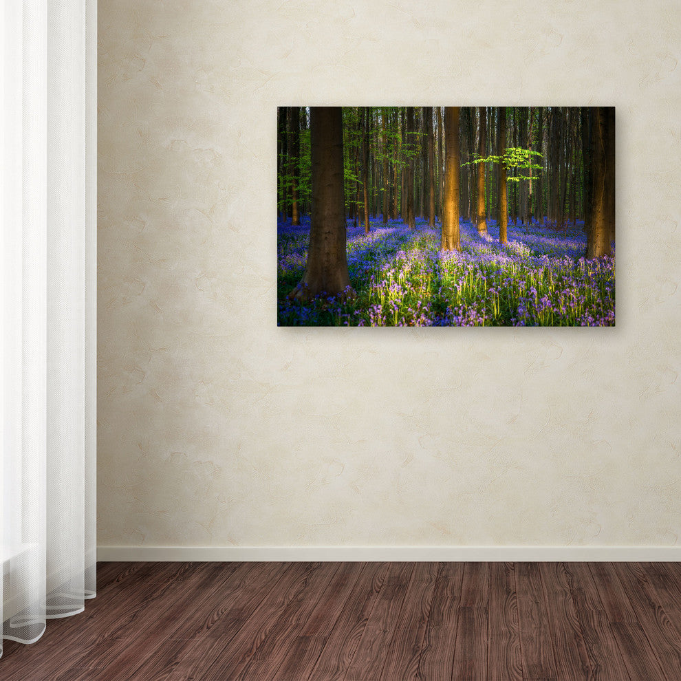 'Mystical Forest' Canvas Art by Mathieu Rivrin
