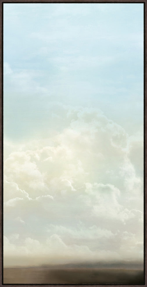 Open Skies II, 37.25"x73.25", Espresso Natural Wood Gallery Floater
