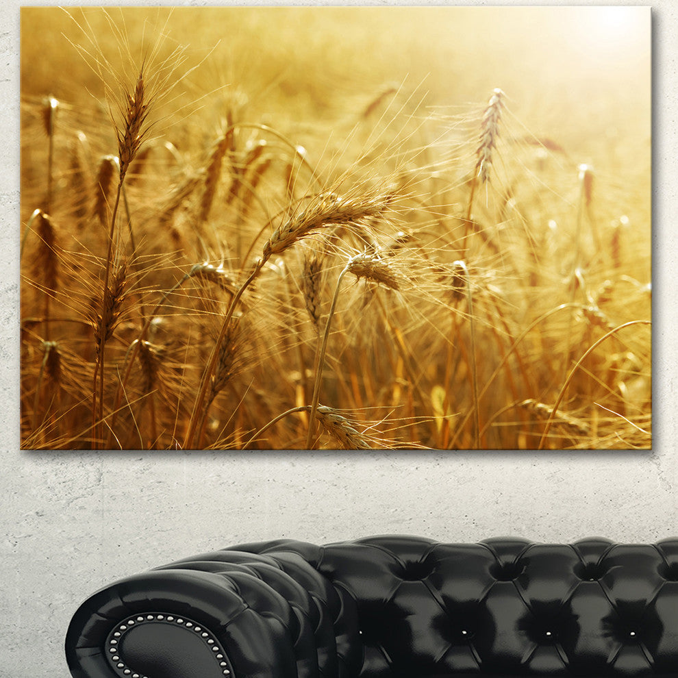 Golden Wheat Field, Large Landscape Canvas Art, 40"x30"