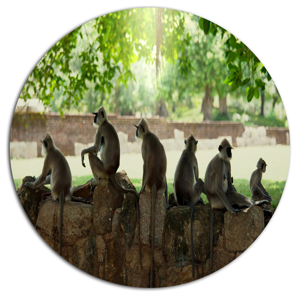 Troop Of Monkeys In Sri Lanka, African Art Disc Metal Wall Art, 36"