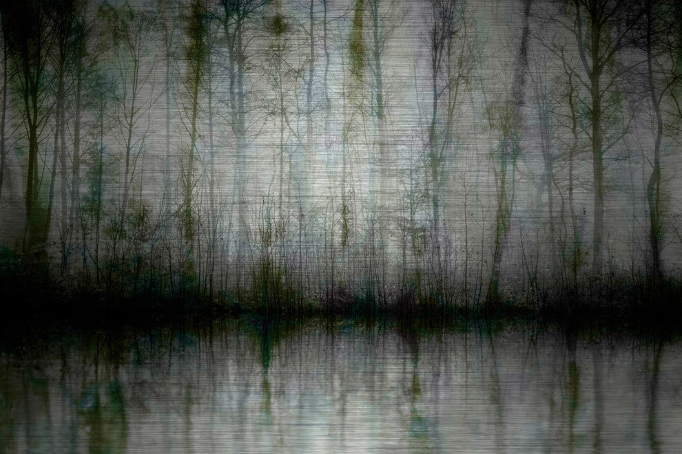 "Wispy Trees" UV Ink Print on Brushed Aluminum, 60"x40"