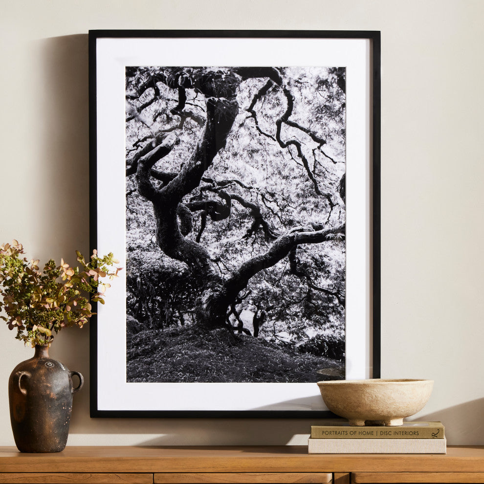 Tree Gaze Iv By Coup D'esprit