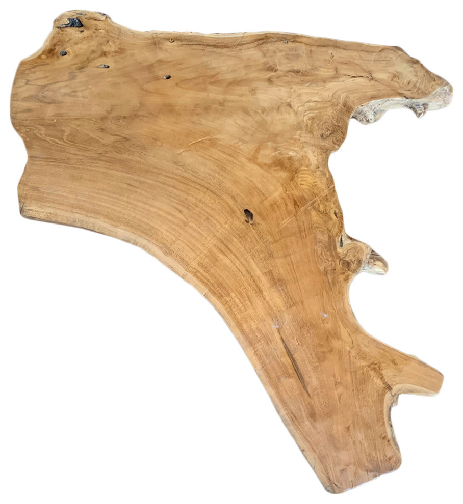 Organic Acacia Wood Slice