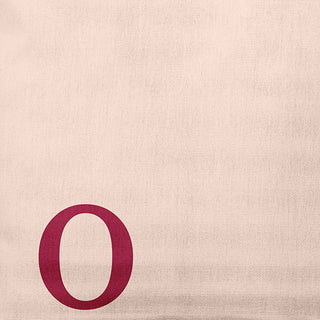 20" x 20" Modern Monogram Indoor/Outdoor Polyester Throw Pillow, Cranberry