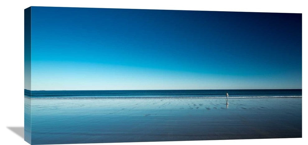 "The Blues" Stretched Canvas Giclee by Harmeet Marwaha, 36x18"
