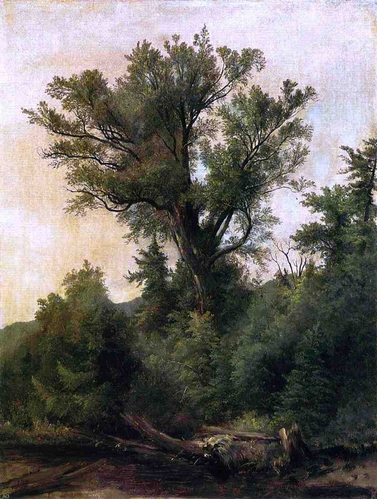 Asher Brown Durand Woodland Stream, 21"x28" Wall Decal Print