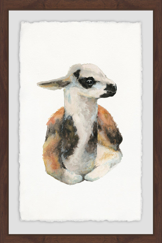 "Laying Llama" Framed Painting Print, 24"x36"