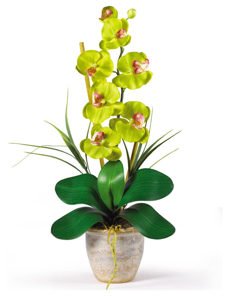 Single Stem Phalaenopsis Silk Orchid Arrangement, Green