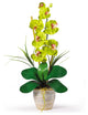 Single Stem Phalaenopsis Silk Orchid Arrangement, Green