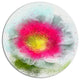 Red Poppy Flower On White, Floral Round Metal Wall Art, 36"
