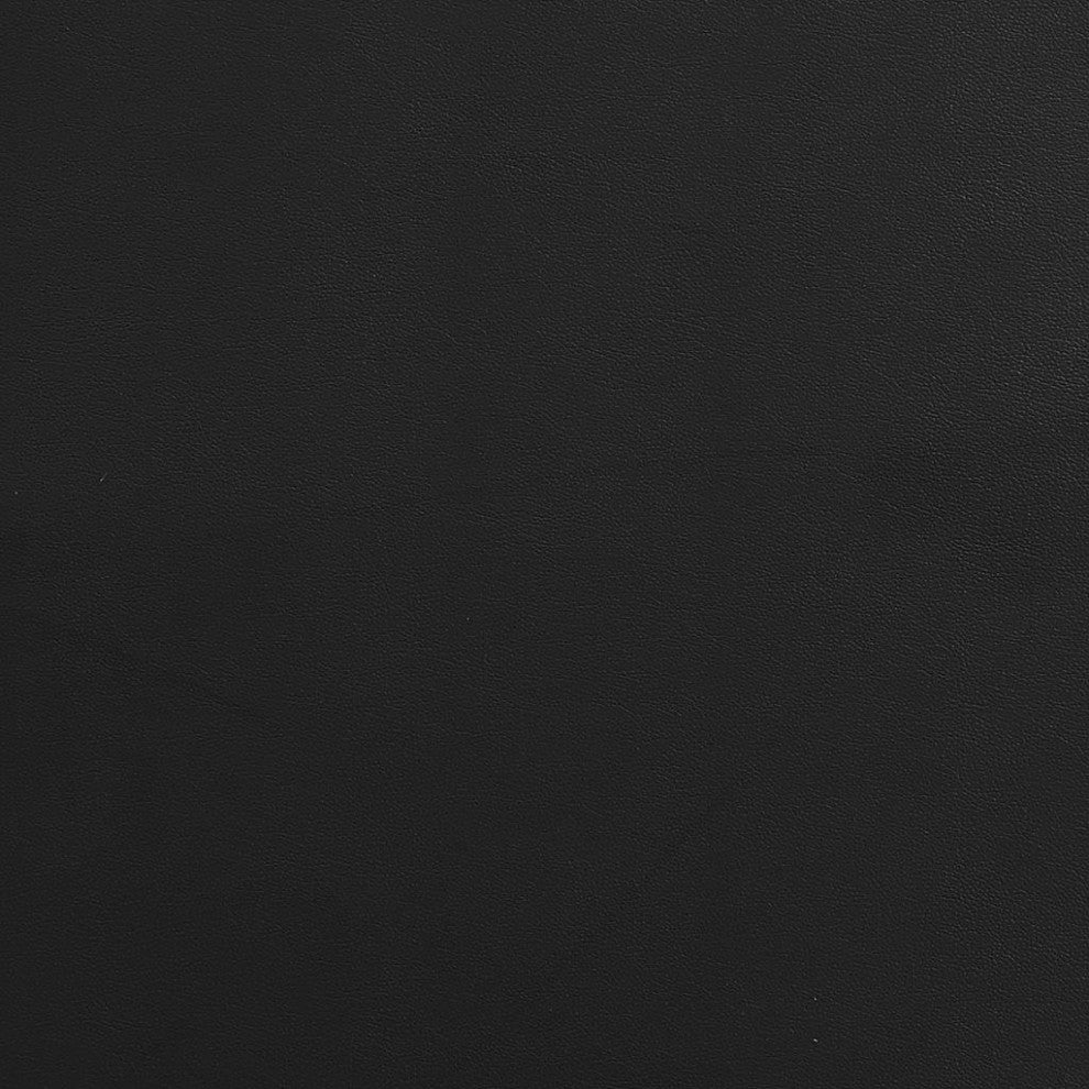 Giuliano Contemporary Premium Leather Match Loveseat Black