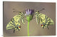 "Symmetry" Stretched Canvas Giclee by Jimmy Hoffman, 36x24"
