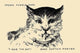 Twas the Cat. Seek Captain Porter- Paper Poster 20" x 30"