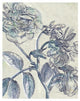 "Belle Fleur I" Digital Paper Print by Sue Schlabach, 22"x26"