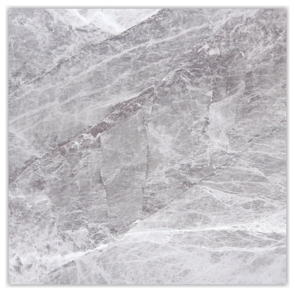 Norde Grigio Polished 24x24 Marble Tile