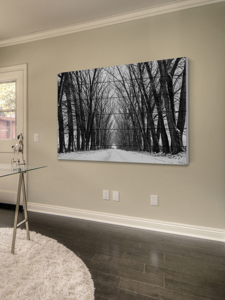 "Rows of Trees" Print on White Wood, 60"x40"