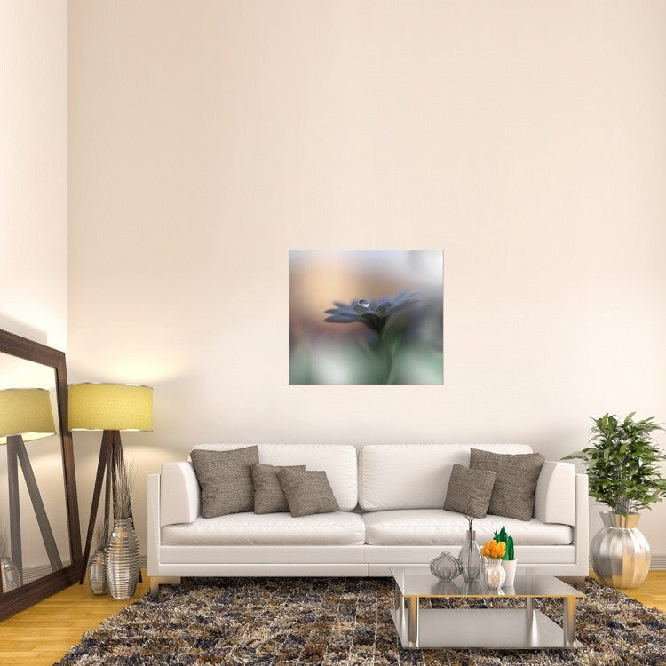 "Eyes Of The Light" Stretched Canvas Giclee by Juliana Nan, 40x35"