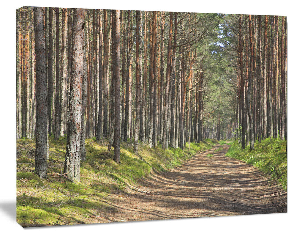 Beautiful Road Through Thick Woods, Modern Forest Canvas Art, 20"x12"