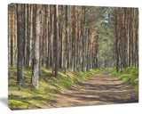 Beautiful Road Through Thick Woods, Modern Forest Canvas Art, 20"x12"