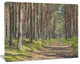 Beautiful Road Through Thick Woods, Modern Forest Canvas Art, 20"x12"