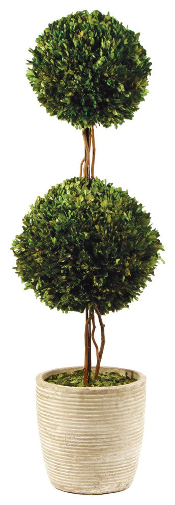 Elegant Double Ball Topiary Pot English Boxwood 28 in Classic Greenery Tabletop