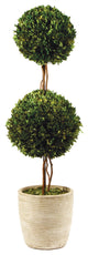 Elegant Double Ball Topiary Pot English Boxwood 28 in Classic Greenery Tabletop