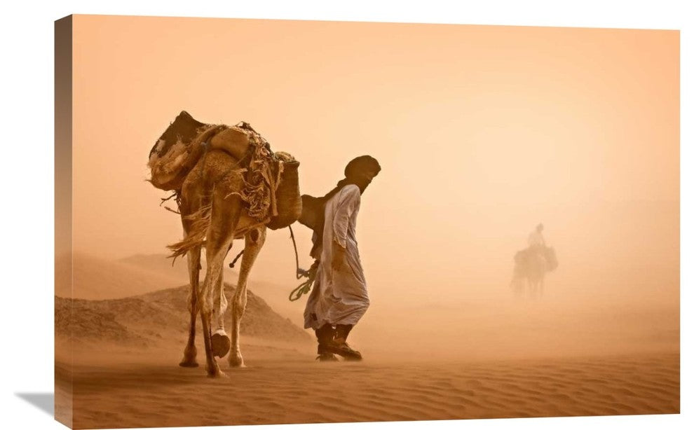 "Sand Storm" Stretched Canvas Giclee by Jovelino, 30"x20"