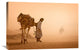"Sand Storm" Stretched Canvas Giclee by Jovelino, 30"x20"