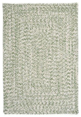 Colonial Mills Catalina CA69 Greenery Indoor/Outdoor Area Rug, Rectangular 4'x6'