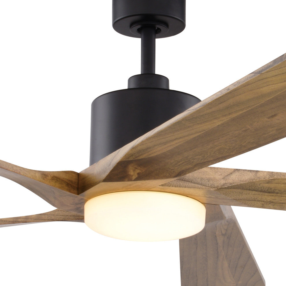 Wedgewood Black Indoor/Outdoor 60" DC Ceiling Fan Light Kit and Remote