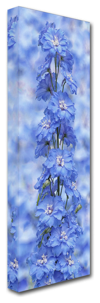 Cora Niele 'Blue Larkspur' Canvas Art