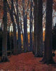 Santiago Rusinol Prats Arboles, Gallery Wrapped Canvas Print, 20"x25"