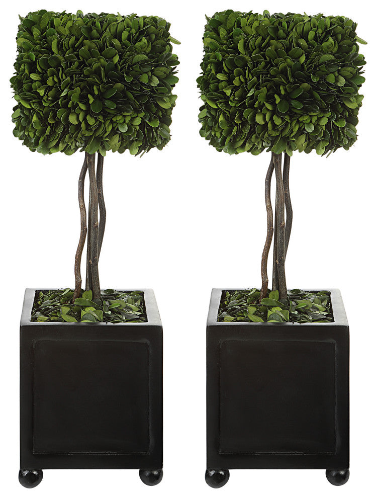 Uttermost Preserved Boxwood Square Topiaries, 2-Piece Set
