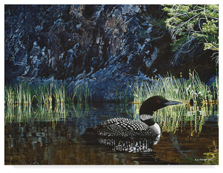 Ron Parker 'Summer Loon' Canvas Art, 47"x35"