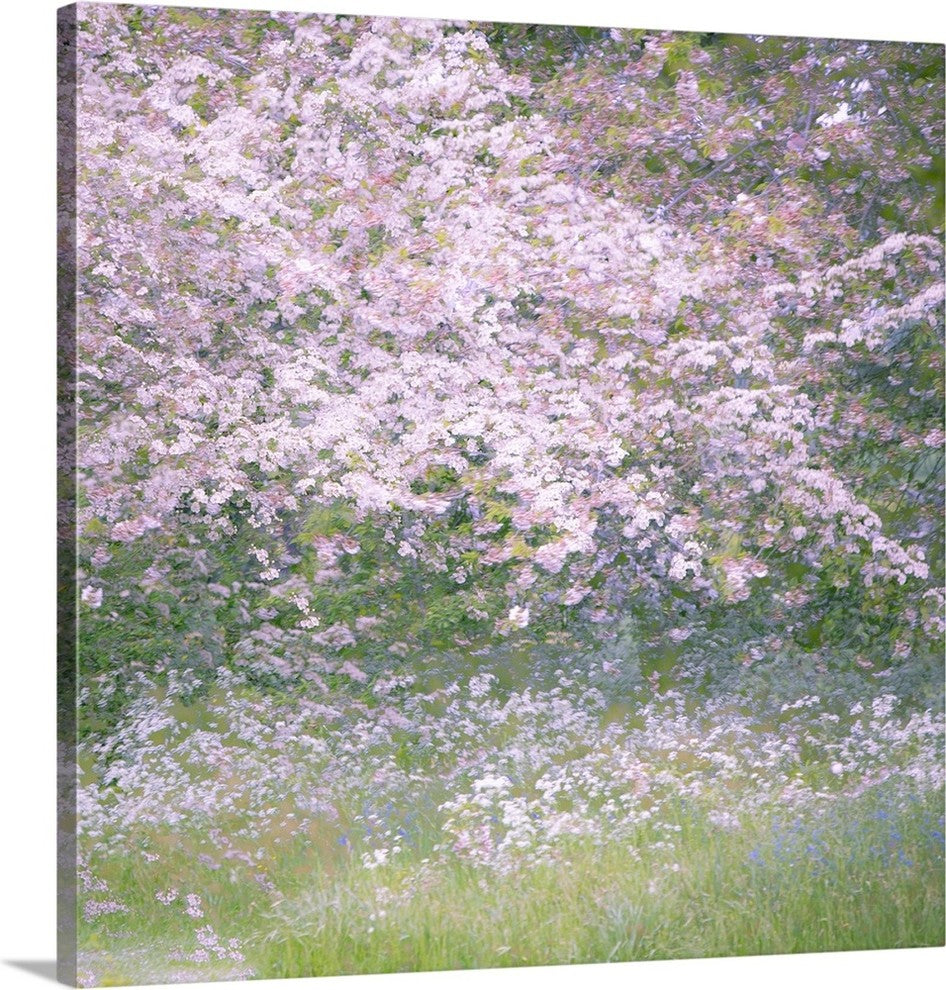 "Floral Froth I" Wrapped Canvas Art Print, 35"x35"x1.5"
