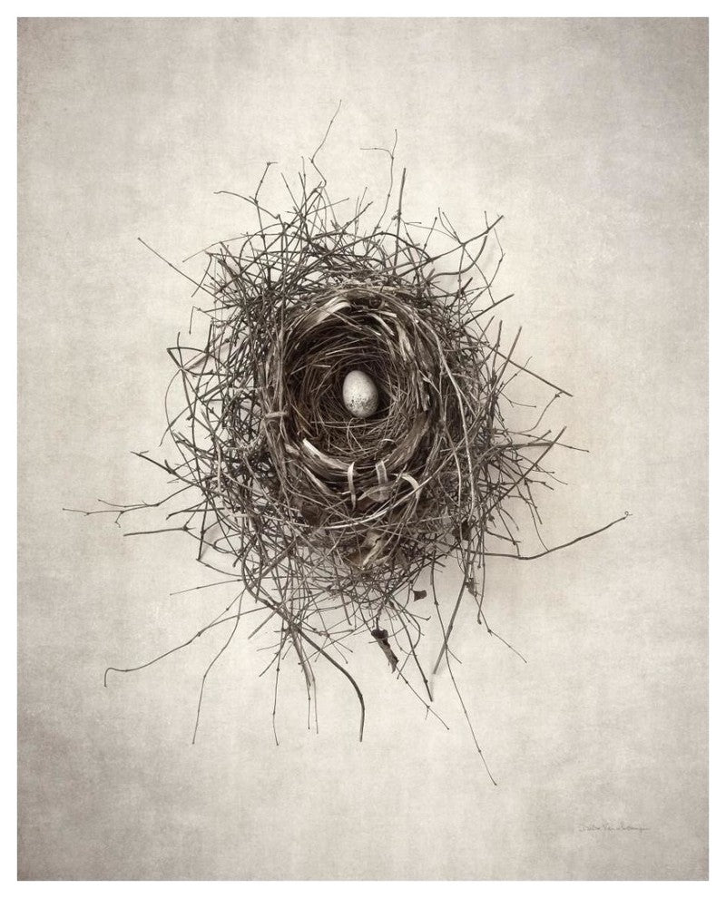 "Nest I" Digital Paper Print by Debra Van Swearingen, 24"x30"