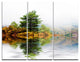 "Pine Tree With Reflection" Photo Metal Wall Art, 3 Panels, 36"x28"