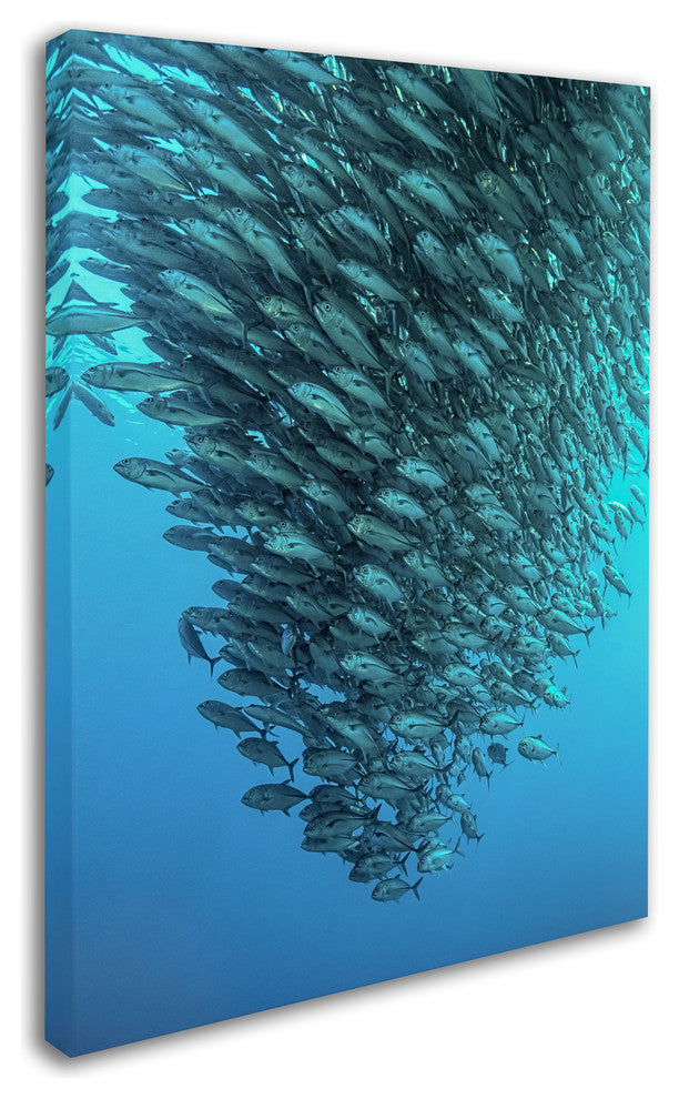 Henry Jager 'Schooling Jackfishes' Canvas Art, 19x14