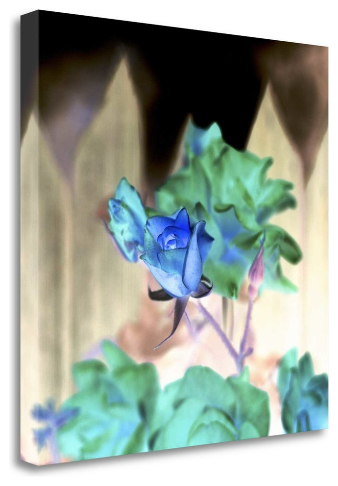 "Floral Color - 7" By Alan Blaustein, Giclee Print on Gallery Wrap Canvas