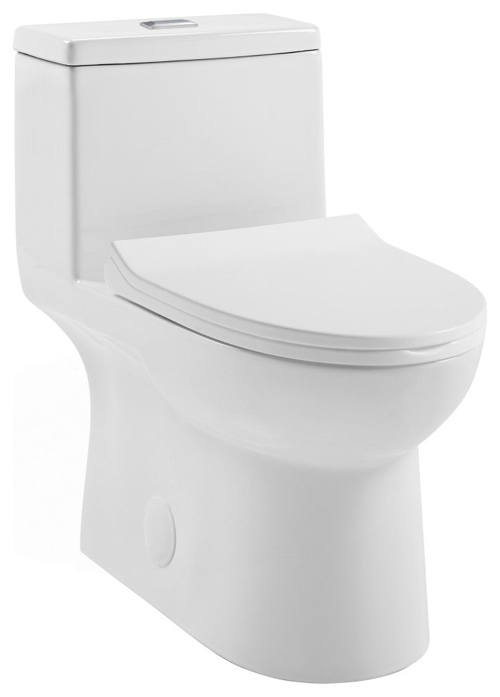 Daxton One Piece Elongated Dual Flush Toilet 1.1/1.6 GPF