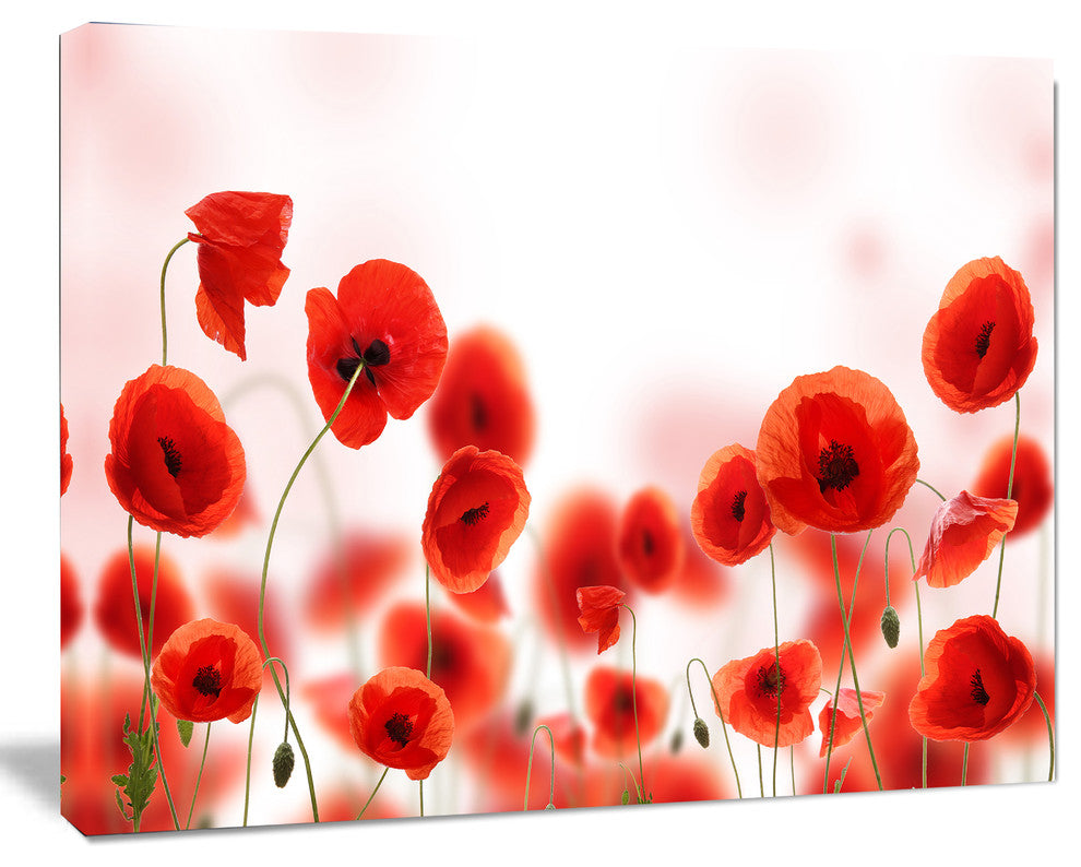 Poppy Flowers on Pink Background, Floral Canvas Art Print, 20"x12"