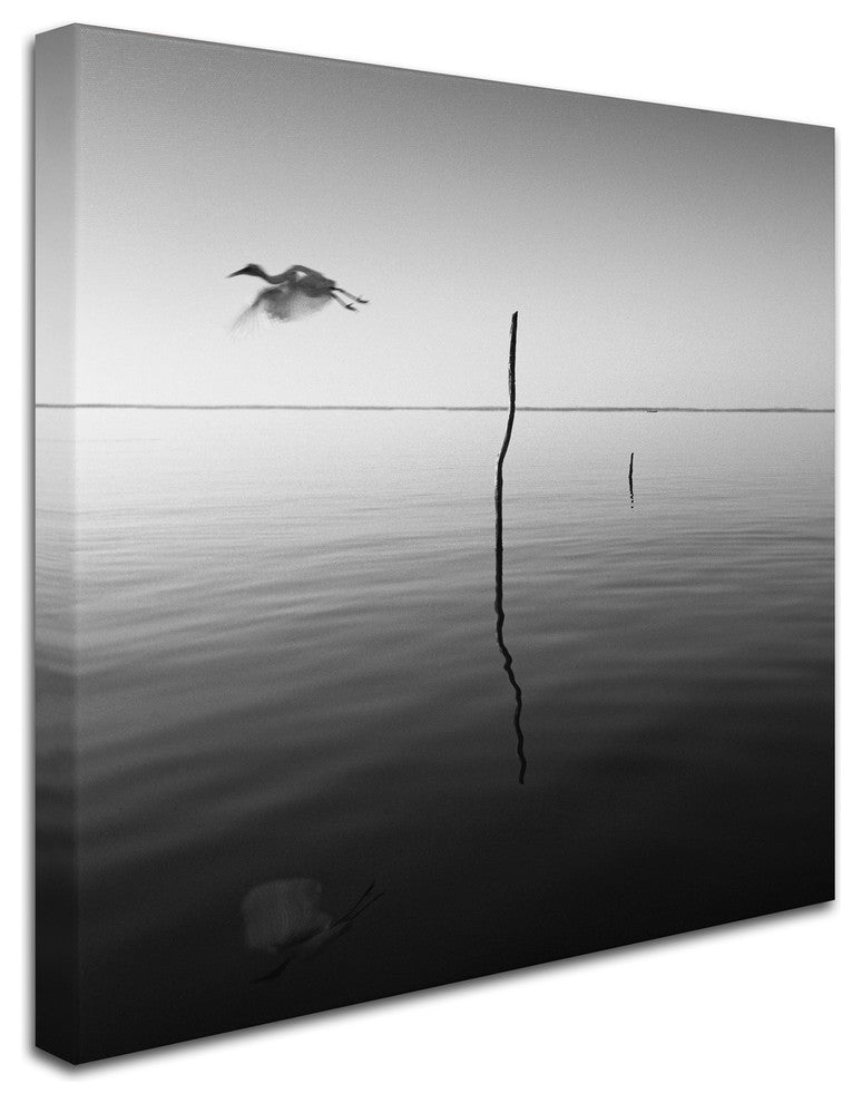 "Fly" Canvas Art by Moises Levy