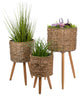 Decorative Cattail Planter Set With Wooden Legs, 3-Piece Set, Natural