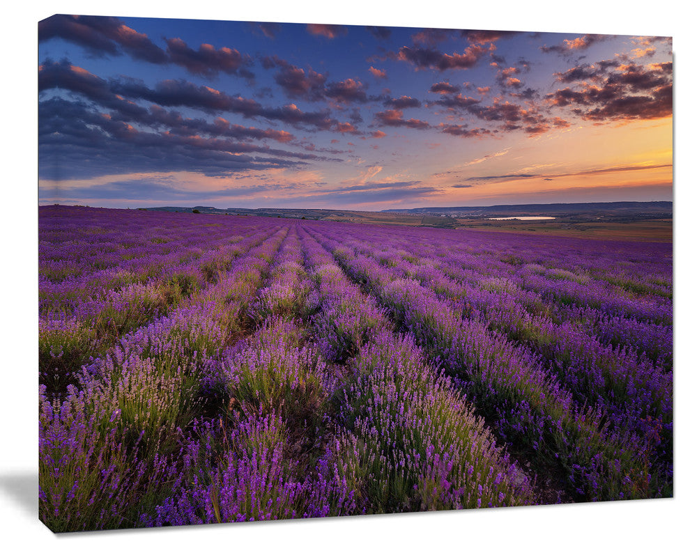 Dark Lavender Field with Cloudy Sky, Floral Canvas Art Print, 20"x12"