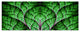 Exotic Green Biological Organism, Abstract Art on Canvas, 70"x28", 6 Panels