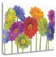 "Colorful Gerbera Daisies" By Carol Rowan, Giclee Print on Gallery Wrap Canvas